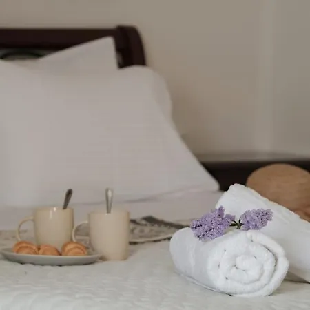 Olive Tree House * Rafalades